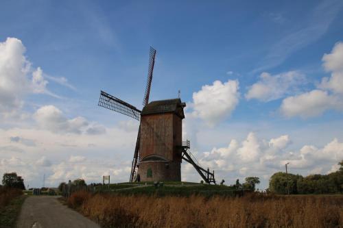 Wullepitmolen